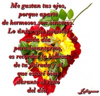 /album/fotogaleria/me-gustan-tus-ojos-jpg/